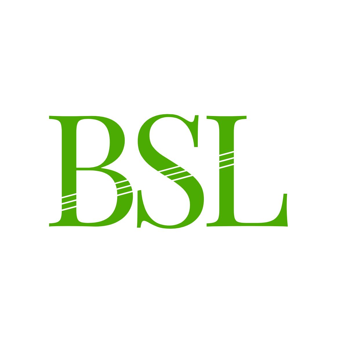 BSL main logo
